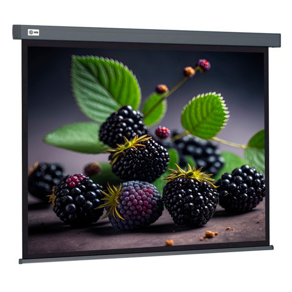 Экран Cactus Wallscreen CS-PSW-127X127-SG (настенно-потолочный, 70,71