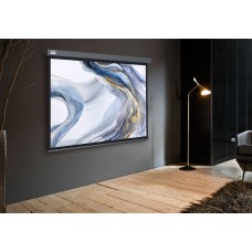 Экран Cactus Wallscreen CS-PSW-128X170-SG (настенно-потолочный, 84