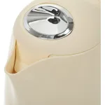 Чайник TEFAL BF 9252 Silver Ion