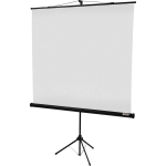 Экран Lumien Eco View LEV-100101 (напольный, 84
