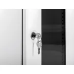 Шкаф коммутационный настенный ЦМО ШРН-8.255-10 (8U, 320x420x305мм)