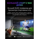 OLED-телевизор Skyworth 55SXF9800 (55