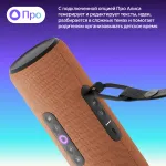 Портативная акустика Яндекс Стрит Алиса