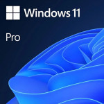 Microsoft Windows 11 Pro Rus 64bit