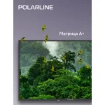 LED-телевизор Polarline 43PL51STC-SM (43