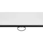 Экран Digis Optimal-C DSOC-1101 (настенно-потолочный, 89