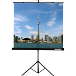 Экран Lumien Eco View LEV-100102 (напольный, 100