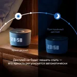 Портативная акустика Sber Boom Home