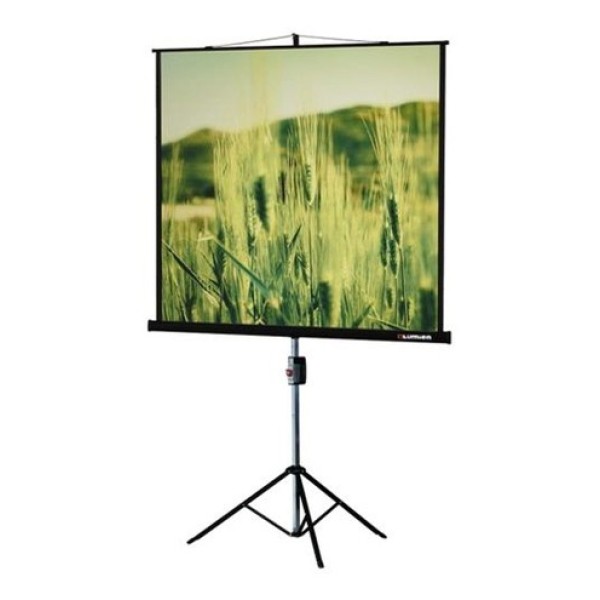 Экран Lumien Master View LMV-100113 (напольный, 105