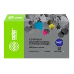 Cactus CS-EPT6037 (серый пигментный; 220стр; Stylus PRO 7880, 9880)