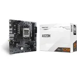 Материнская плата Biostar A620MS-E (x)