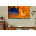 LED-телевизор Skyworth 55X87G (55