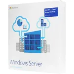 Microsoft Windows Server 2019 Std 5 Clt 64 bit Eng BOX