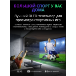 OLED-телевизор Skyworth 65SXF9800 (65