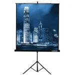 Экран Lumien Master View LMV-100108 (напольный, 116