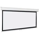 Экран Lumien Master Picture LMP-100118 (настенно-потолочный, 132