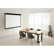 Экран Cactus Wallscreen CS-PSW-128X170-BK (настенно-потолочный, 84