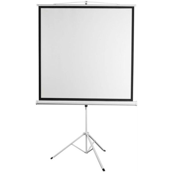 Экран Digis Kontur-D DSKD-4302 (напольный, 86