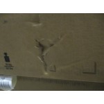 Принтер HP Color LaserJet Professional CP5225n (CE711A) (лазерная, цветная, A3, 192Мб, 600x600dpi, 75'000стр в мес)