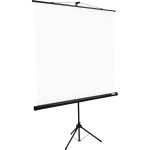 Экран Lumien Eco View LEV-100101 (напольный, 84