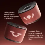 Портативная акустика Sber Boom Home