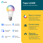 TP-LINK Tapo L530E