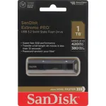 Накопитель USB SanDisk SDCZ880-1T00-G46