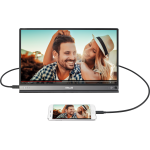 Монитор ASUS MB16AP (15,6