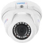 Камера видеонаблюдения Trassir TR-D2S5 (IP, купольная, уличная, 2Мп, 3.6-3.6мм, 1920x1080, 25кадр/с)