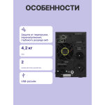 ИБП Powerman Online Plus 1000 (с двойным преобразованием (On-Line), 1000ВА, 900Вт, 2xCEE 7 (евророзетка))