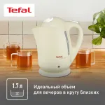 Чайник TEFAL BF 9252 Silver Ion
