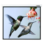 Экран Lumien Master Picture LMP-100117 (настенно-потолочный, Matte White FiberGlass, 16:9)