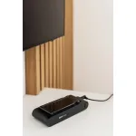 Вертикальный пылесос Gorenje SVC259441NFGO