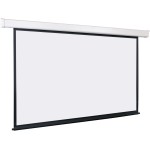 Экран Lumien Eco Control LEC-100117 (настенно-потолочный, 131