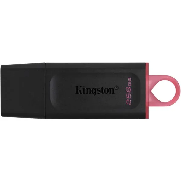 Накопитель USB Kingston DTX/256GB