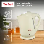 Чайник TEFAL BF 9252 Silver Ion