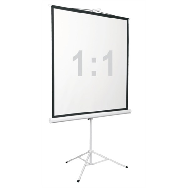 Экран Digis Kontur-D DSKD-1106 (напольный, 112