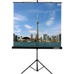 Экран Lumien Eco View LEV-100107 (напольный, 97