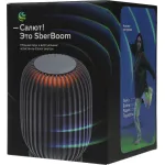 Портативная акустика Sber Boom SBDV-00090