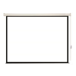 Экран Lumien Eco Control LEC-100105 (настенно-потолочный, 81