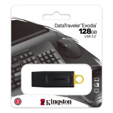 Накопитель USB Kingston DTX/128GB [DTX/128GB]