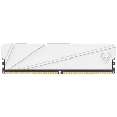 Память DIMM DDR4 16Гб 2666МГц Netac (25600Мб/с, CL19, 288-pin) [NTSSD4P26SP-16W]