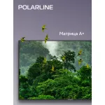 LED-телевизор Polarline 65PU51TC-SM (65