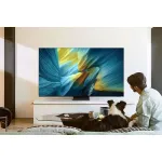 OLED-телевизор Samsung QE55S95FAU (55
