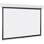 Экран Lumien Master Picture LMP-100111 (настенно-потолочный, 131