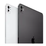 Планшет Apple iPad Pro 2024 A2925(13