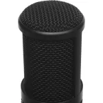 Микрофон AKG P120