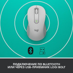 Мышь Logitech Signature M650