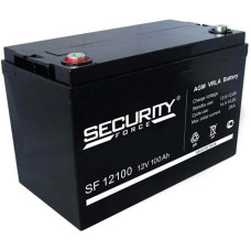 Батарея Security Force SF 12100