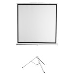 Экран Digis Kontur-D DSKD-4303 (напольный, 100
